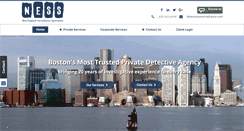 Desktop Screenshot of nesurveillance.com